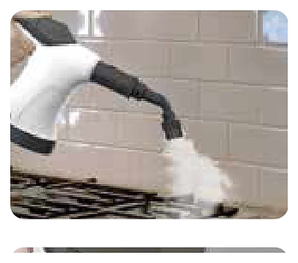 Steam cleaning bathroom tile